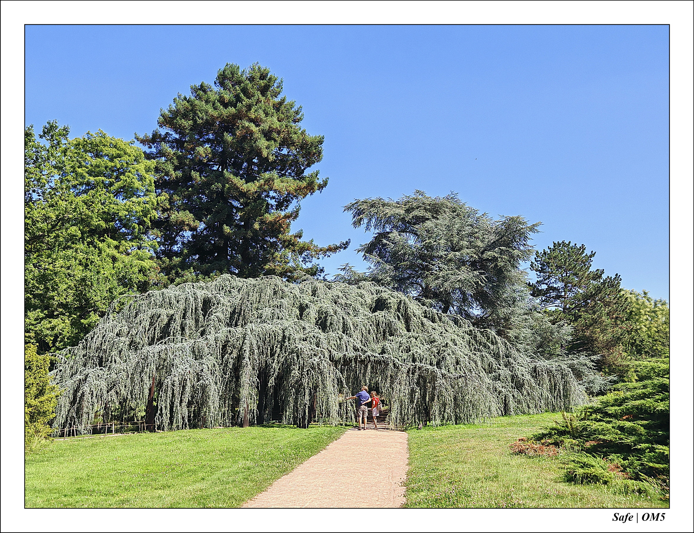 2025 - 08 - Vallée des loups - 23